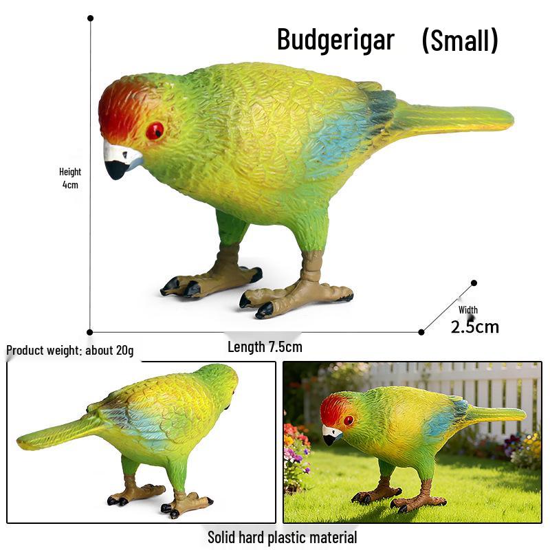 Kids' Bird Model Set: Toucan, Parrot, Ostrich, Peacock, Eagle, Pigeon, Owl.