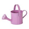 Yousheng Aufbewahrungseimer mit Griff Verdickter Rostfreier Eisenbehälter Blumentopf Schreibtisch-Organizer für Make-up-Pinsel