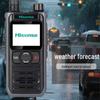 Hisense HX-P310 4G/5G Public Network Intercom (CN version)