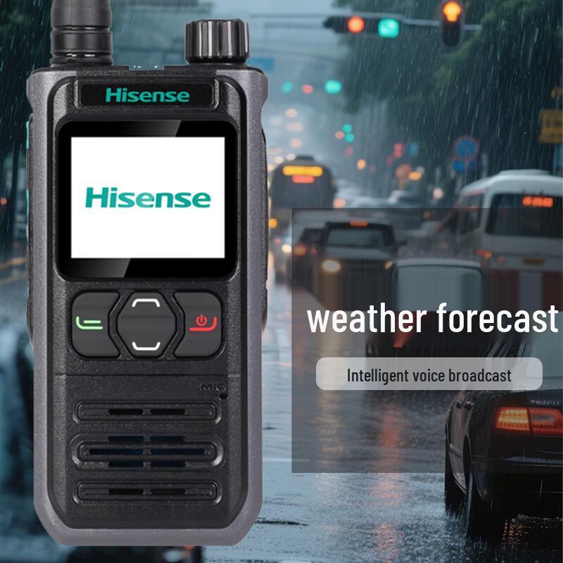 Hisense HX-P310 4G/5G Public Network Intercom (CN version)