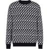 Letter Print Crew Neck Long Sleeve Sweater Men Sweater 6R1MU21-MMKZ1-F905
