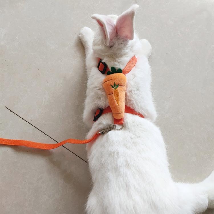 Rabbit Harness and Leash Cute Set Adjustable for Small Animals Outdoor Walking