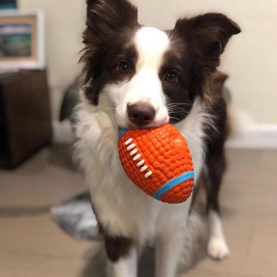 Huayuan Dayanıklı Köpek Çiğneme Oyuncağı Topu - Eğitim ve Sıkıntıyı Azaltma İçin - Sınır Kurdu, Golden Retriever, Corgi İçin Uygundur