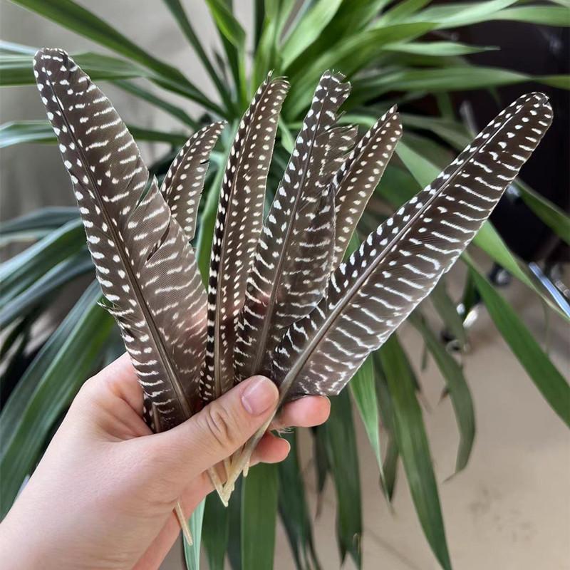 50Pcsdiy Jewelry Accessories Feather Diy Feather Headdress Corsage Hat Shoes Handicrafts Decorative Materials