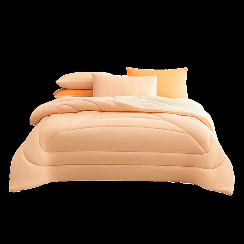 

Huisleep Pro All-Season Comfort Quilt