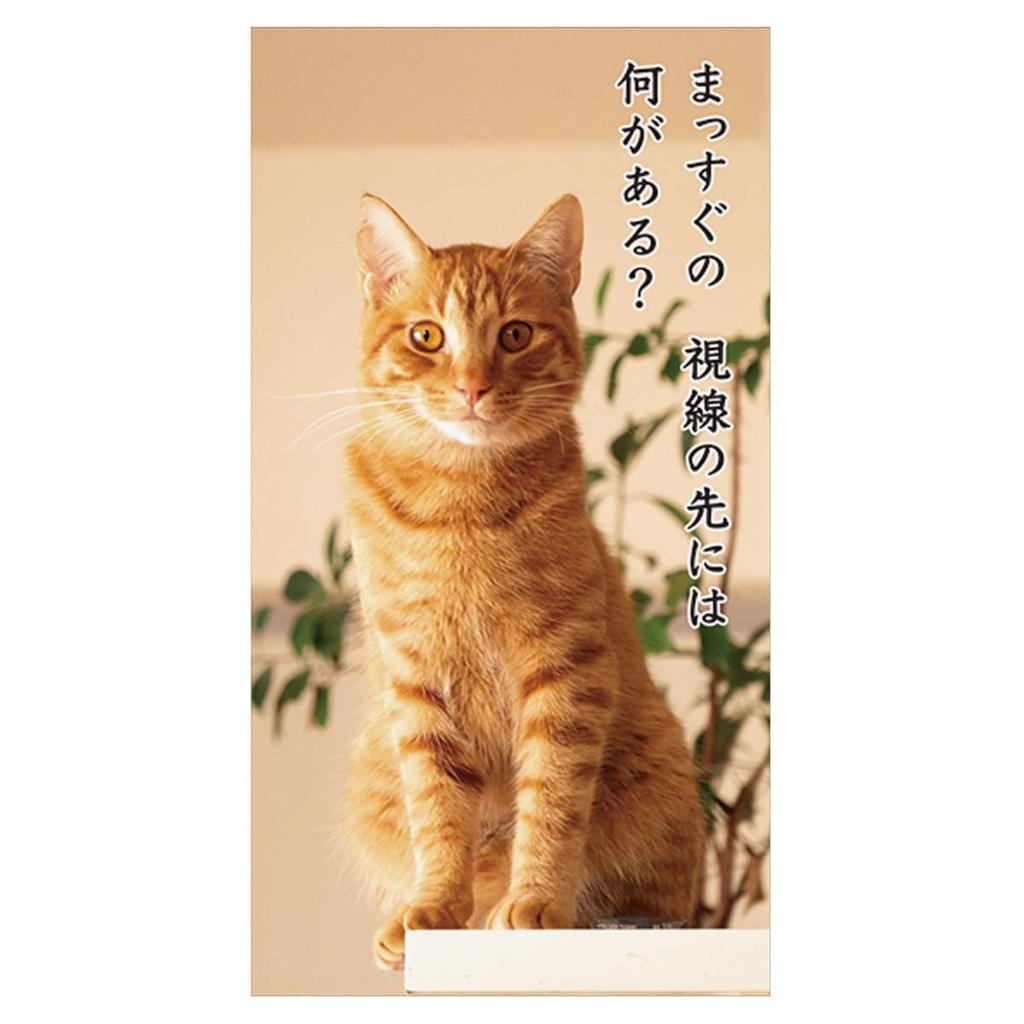 2025 Cat Senryu (Spațiul de lucru) Calendar Nr.030