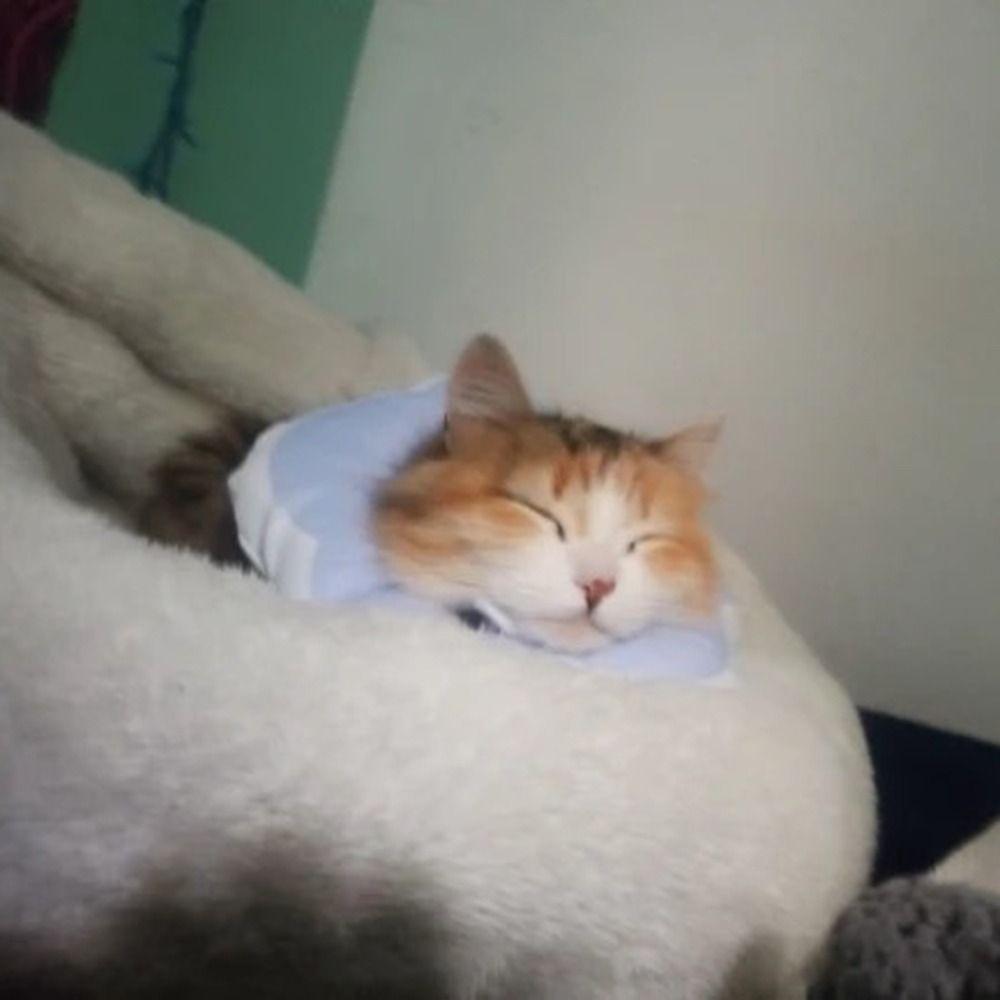 Ayarlanabilir Toka Çiçek Kedi Elizabeth Tasması Çok Renkli Evcil Hayvan Koruyucu Tasma Yara