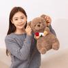 New Valentine's Day Rose Lazy Bear Doll Cute Teddy Bear Plush Toy Doll Girls Gift