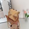 Crossbody Bag 2025 New Metal Shoulder Cute Mini Lipstick Women's Accessory Bag