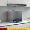 Stainless Steel Kitchen Oil Splatter Guard