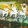 Fish Tank Fishing Cat Hanging Creative Landscape Office Ornaments Fishing Fun Mini Decorative Micro-Landscape