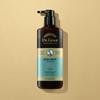 Multi Perfection Intensive Care Protein Shampoo for Oily Scalp 400ml Low pH Sebum Control and Thinning Hair Care