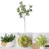 Künstlicher Grüner Pflanzen-Bonsai-Baum Aus Kunststoff Für Heimdekoration Und Fotografie-Requisiten