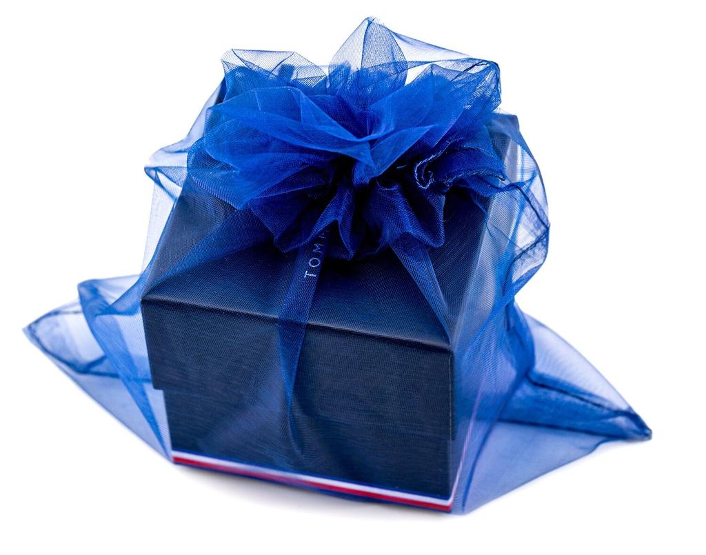 Men's watch TOMMY HILFIGER 1791476 DECKER (zf001a)