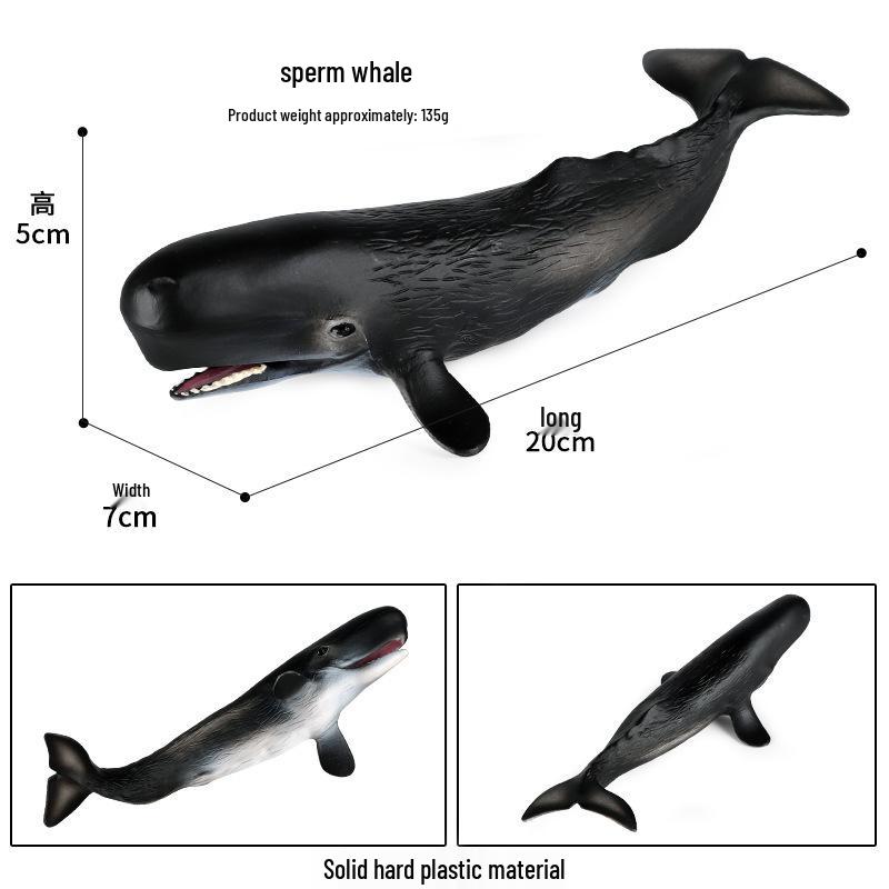 Children s Whale Shark & Sperm Whale Toy Set - Ocean Simulation & Sensory Bin Decoration.