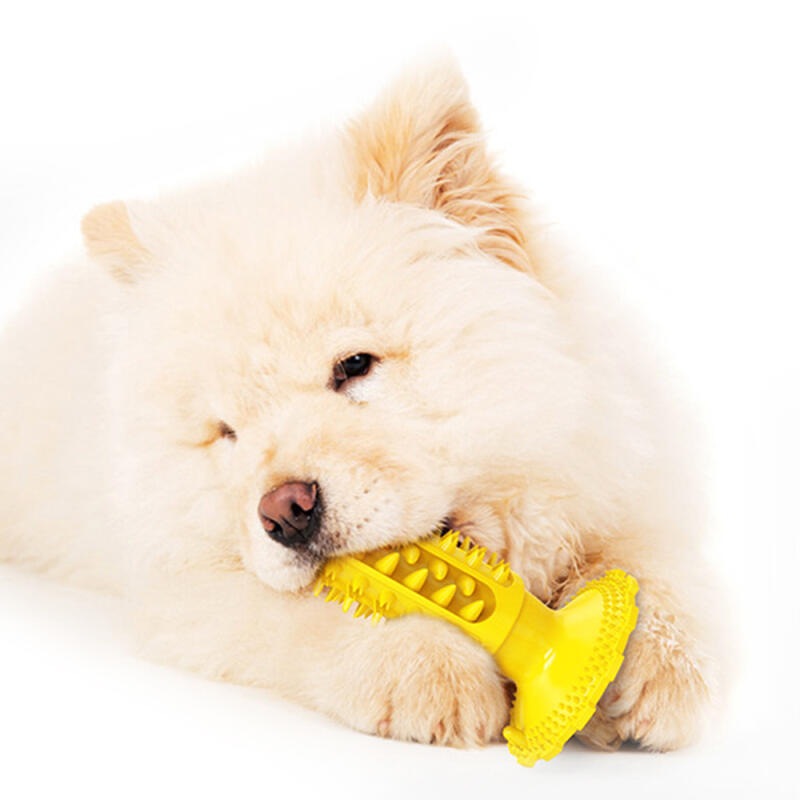 Chikatoy (yellow) for removing tartar from teeth of dogs