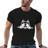 Transgender pride dog TShirt g Unisex t shirts for Unisex Unisex t shirt heavy cotton Unisex t shirts cotton Tshirt