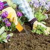 Hand Loop Weeder Tool Garden Metal Loop Design Manual Weeders Tool With Plastic Handle For Weeding