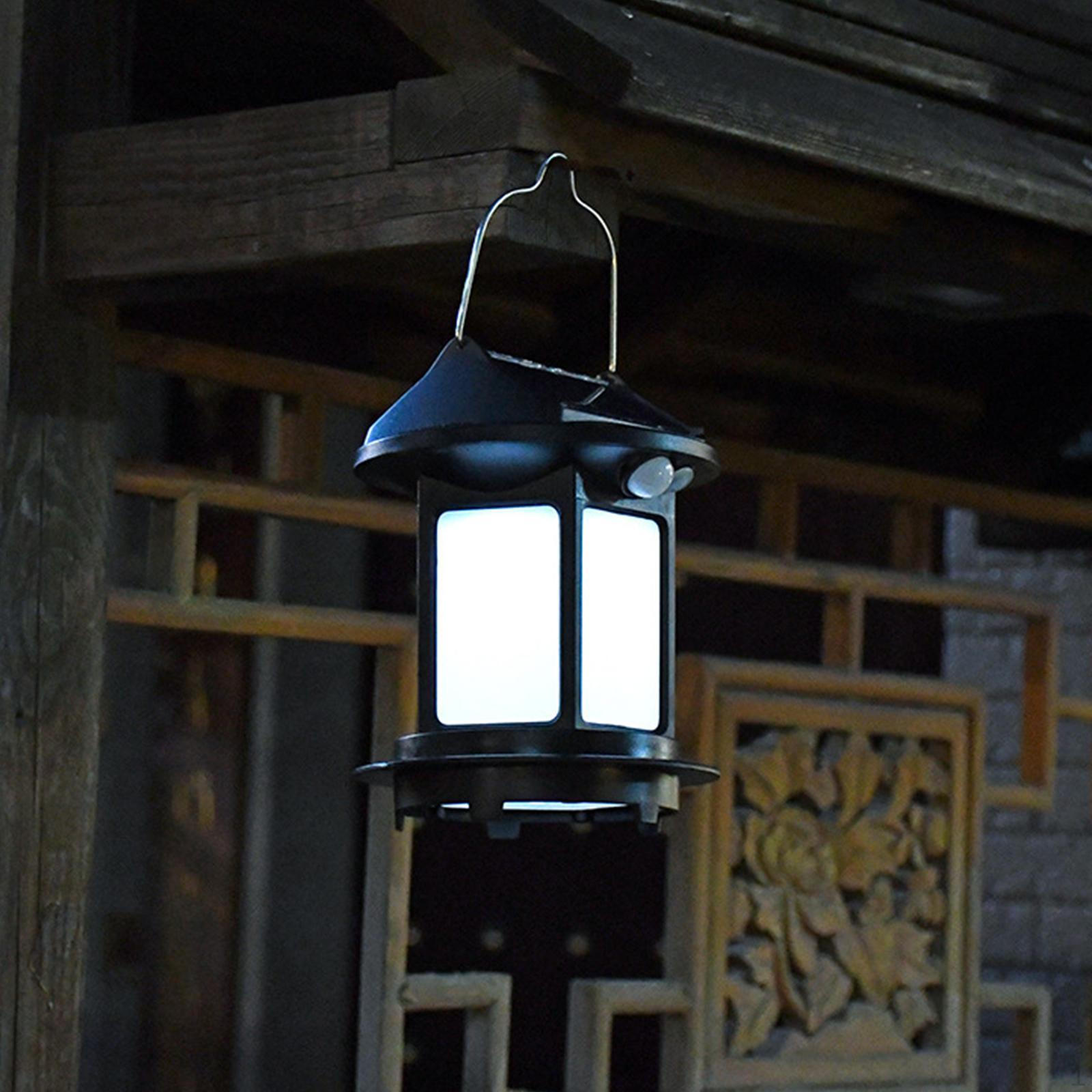 

Уличный солнечный светильник для дорожек в садах и дворах Black White Light