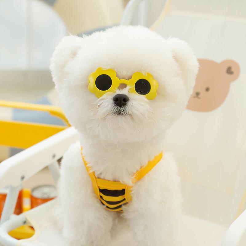 Summer Dog Cute Bee Swimsuit Suspender Cat Two-legged Swimsuit Pet Bikini Teddy Dog Clothes