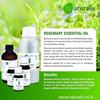 Naturalis Essence of Nature Rosemary Essential Oil for Skin, Muscle & Joints, Anti-Dandruff, Hair Conditioner, Pure & Natural Therapeutic Grade - 30ml