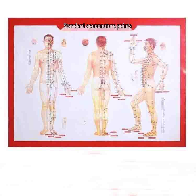 

Меридианная мягкая силиконовая массажная щетка для тела - Универсальная щетка Пять элементов Скорпион