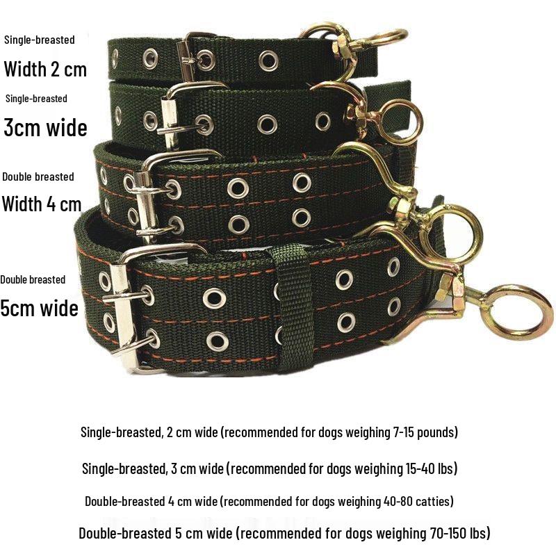 Double Row Dog Collar & Leash Set for Medium To Large Dogs