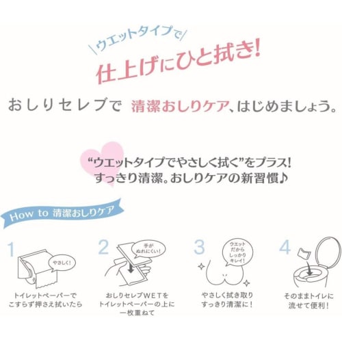 Oshiri Celeb WET On-the-Go Cleaners, Unscented, 12 Sheets (3 Packs)