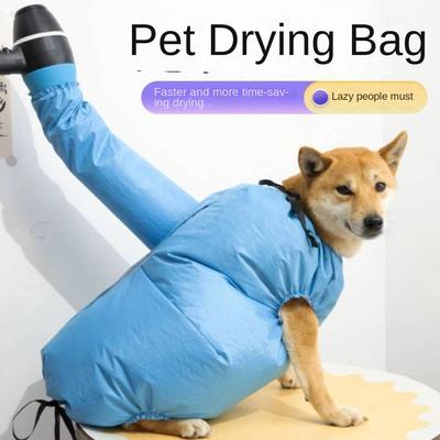 Köpek – Köpek bakım ürünleri