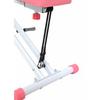 Compact Abdominal and Waist Training Machine for Aerobic Exercise