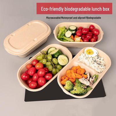 Changbaosen Sugarcane Pulp Disposable Takeout Boxes