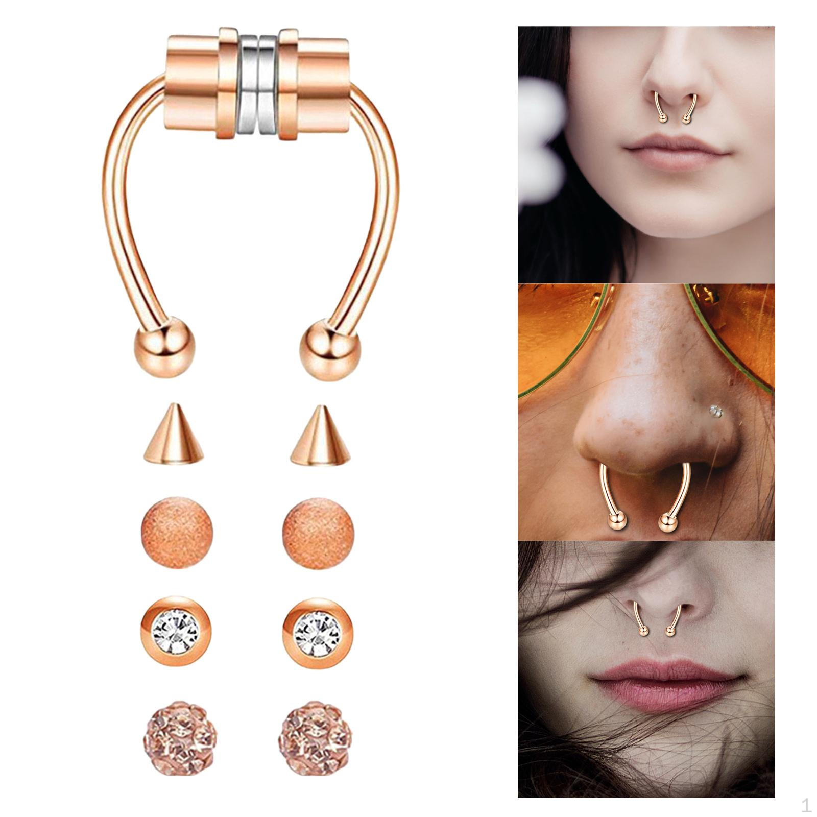 

Fake Nose Ring Magnetic Non Piercing Punk Style Fashion Gifts for Men Women Silver розового золота