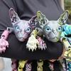 Home Decoration 50Cm3D Printing Sphinx Cat Animal Toy Realistic Hairless Doll Articulated Cat Plush Toy Cat Enthusiastcollection