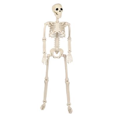 Accesorii de petrecere – Accesorii de Halloween