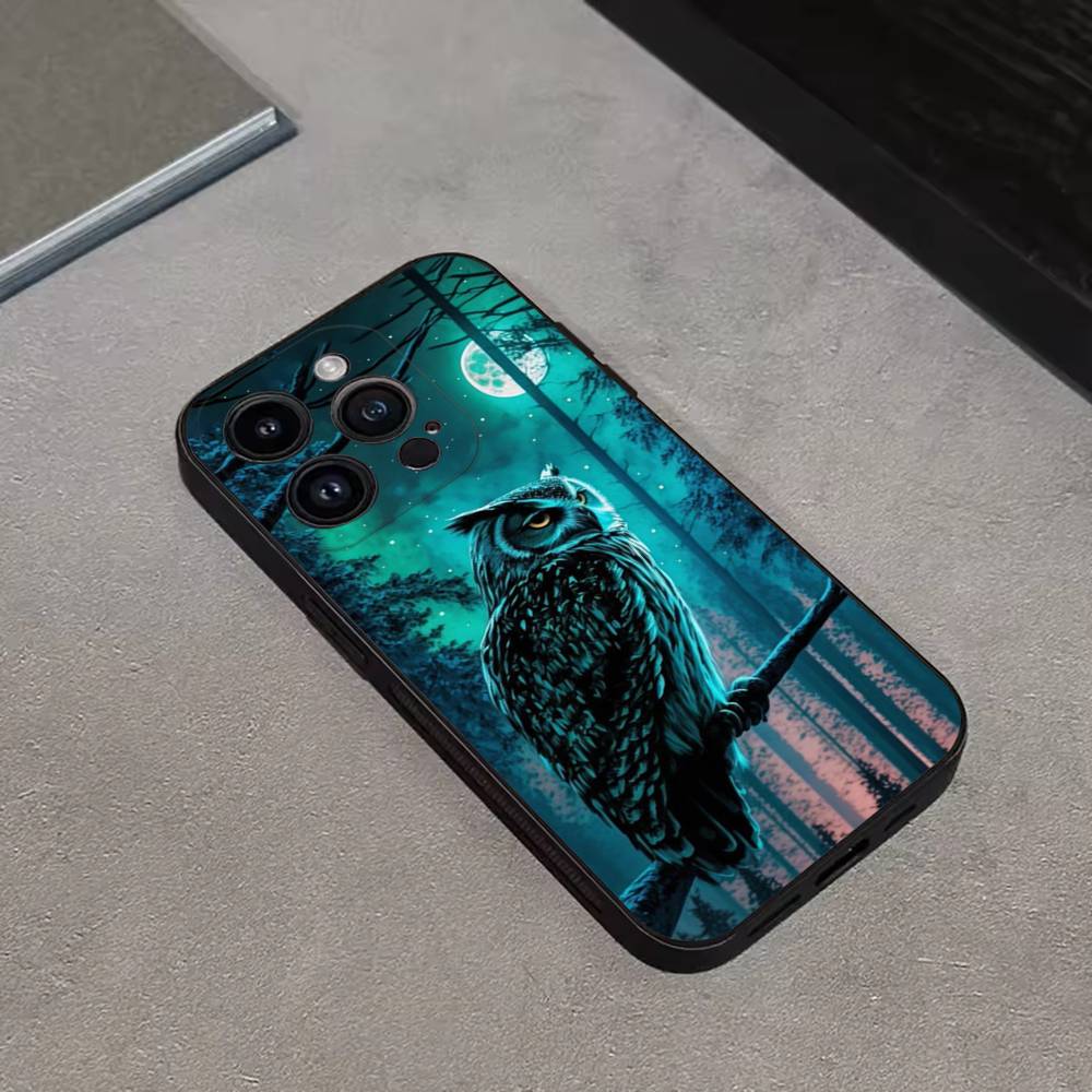 Cute C-Colorful Owl B-Bird Phone Case For iPhone 17,16,15,14,13,12,11 Plus,Pro Max,XS,X,XR,SE,Mini,8,7,Soft Silicone Black Cover