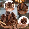 20PCS Natural Pinecone Ornaments, Pine Cones Bulk Natural Pinecones Assortment for Fall Winter Christmas Bowl Fillers (Natural)