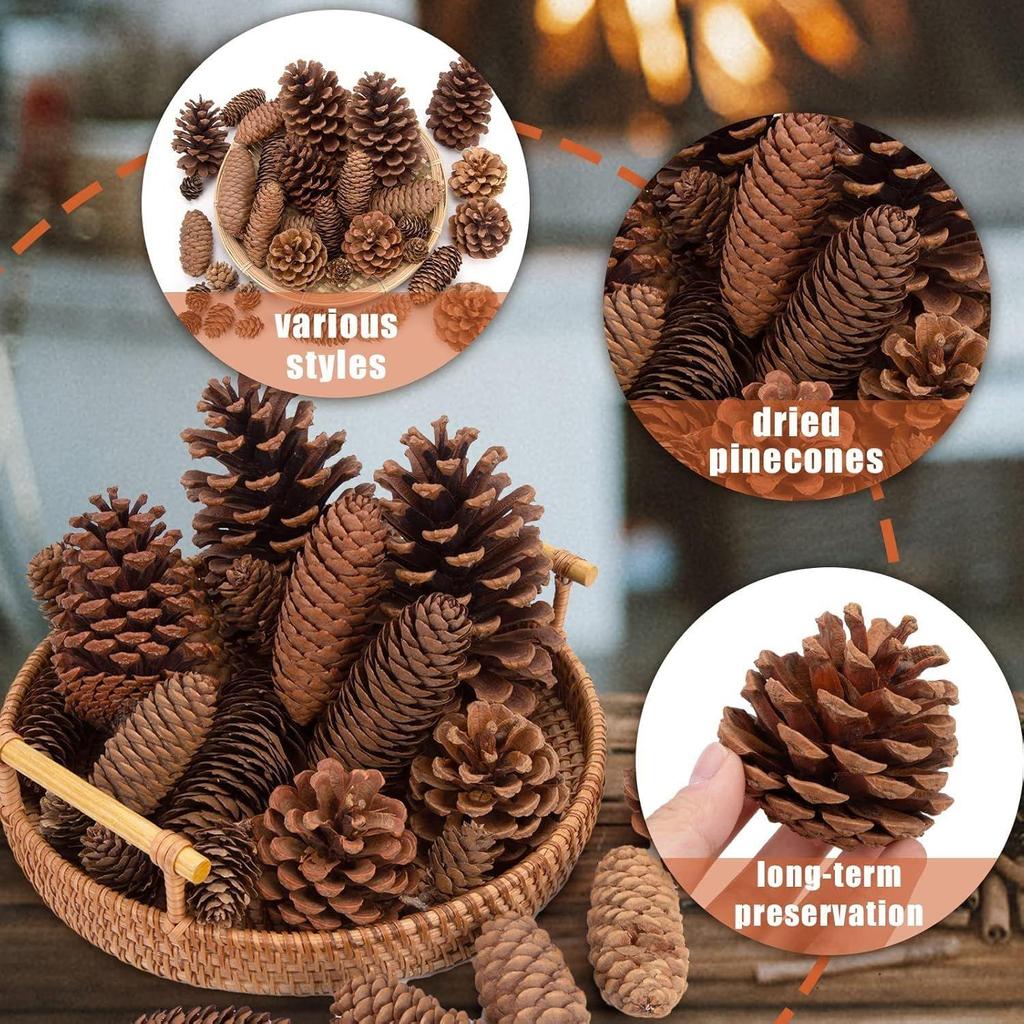 20PCS Natural Pinecone Ornaments, Pine Cones Bulk Natural Pinecones Assortment for Fall Winter Christmas Bowl Fillers (Natural)