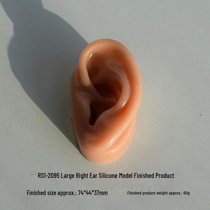 Silicone Ear Model for Piercing Jewelry Display