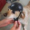 Adjustable Dog Helmet Windproof Wear Resistant Pet Safety Helmets Plastic Breathable Pet Motorcycle Helmet Cap Outdoor