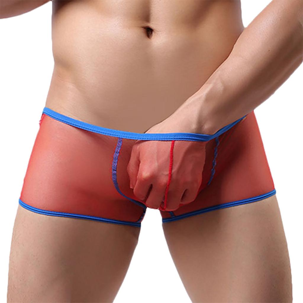 Men's Underwear Mesh Panties Breathable Briefs Sexy Light Boxer Underpants