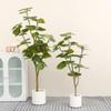 Nordic Faux Heart-Leaf Ficus Decor - Large Indoor Ornament for Home or Mall Display