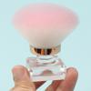 Nagelstaubbürste Nail Art Staubentferner Pinsel Make-up Pinsel Nagelbürste Nagelstaub Reinigungsbürste Maniküre Zubehör