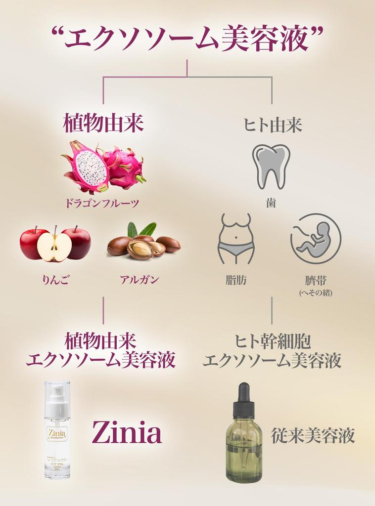 Zinia Exosome by a Beauty Made In Highly Concentrated Ceramide Moisturizing 40ml Serum, Plant-Derived [Supervised Nurse], Japan, Serum,