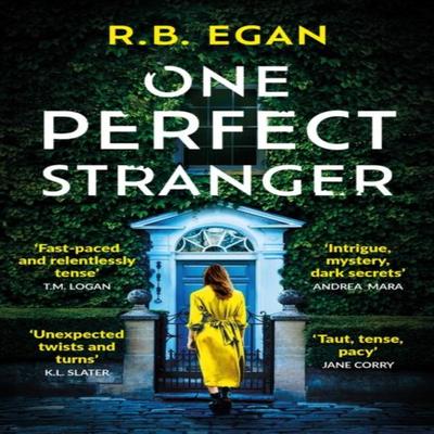 One Perfect Stranger by R.B. Egan Paperback Book 9781399732222
