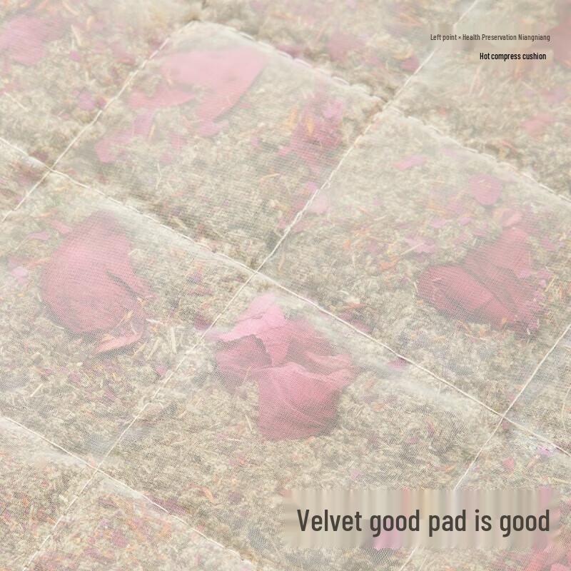 Zodian Health Empress Smart Heated Cushion