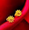 Gift Female Women Stud Earrings Sargin Flower Earrings Korean Style Earrings Fashion Jewelry