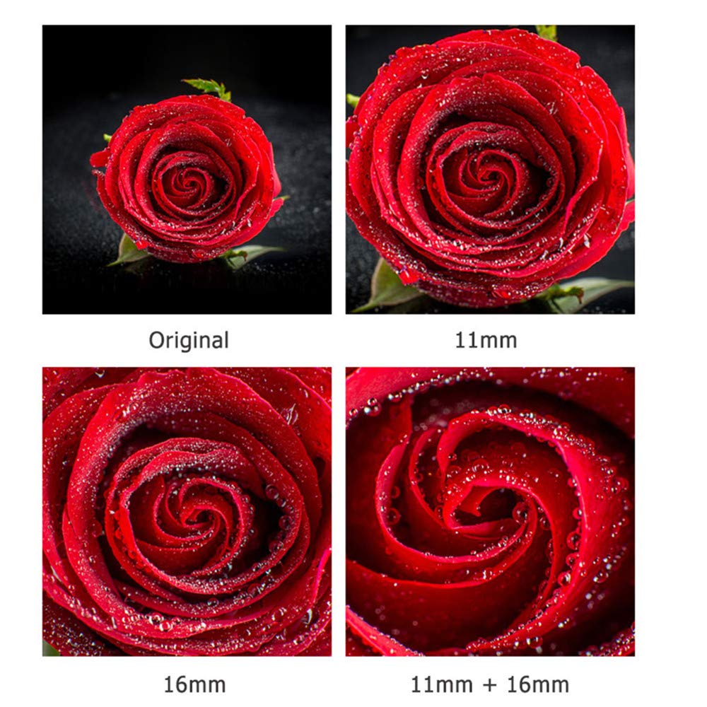 JJC Makrofotografie Digitaler Makro-Verlängerungsring Verlängerungsrohr für Nikon Z Kompatibel mit Z50 Gehäusedeckel und Rücklinsendeckel Im Set enthalten, Bajonett, ZR,