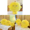 2024 New Lemon Jun Plush Toy Doll Wholesale For Children Cute Cartoon Plush Animal Pillow