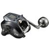 Daiwa 21 Seaborg 300J