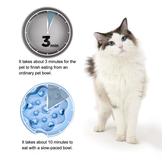 baizihuahu Dog Slow Feeder Bowl, Cat Eating Anti-Slip Bottom Pet Dish, Reduces Choking Vomiting for Cats Dogs